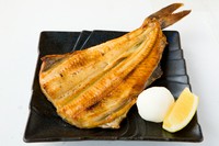 大きなホッケ！