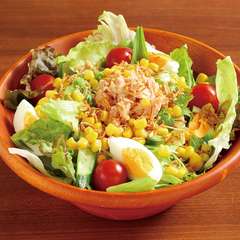 野菜サラダ大