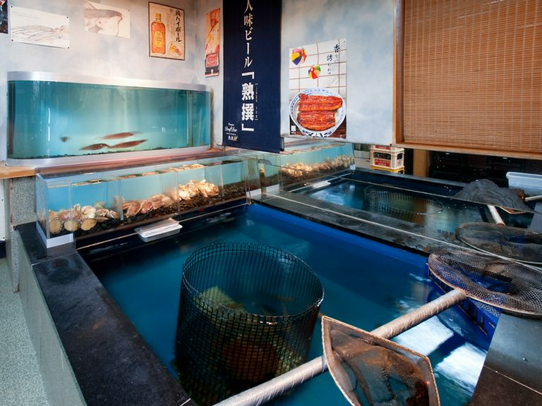 店内に大きな「いけす」があるから、いつでも獲れたて新鮮