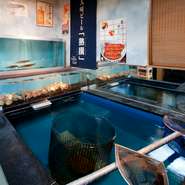 お店自慢の大きな「いけす」には、海水を使い、魚ができるだけのびのびできるよう工夫が。こだわりのイカをお造りで食べた後は、足や耳を天ぷらにしたりと二次加工してくれるサービスも嬉しい限りです。