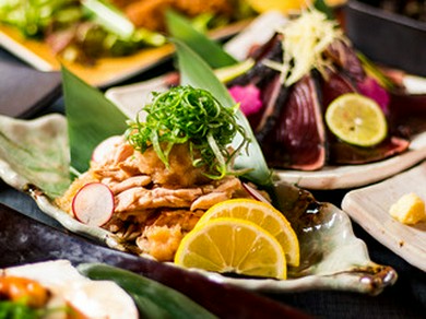 新橋 汐留の女子会向けコースがあるお店 女子会におすすめのお店 ヒトサラ