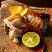 旬素材ありきで生み出される日本料理。産地を厳選した鮮魚や野菜から、活きの状態で仕入れるスッポンまで、旬の食材の個性を表現するため鮮度には並々ならぬこだわりがあります。