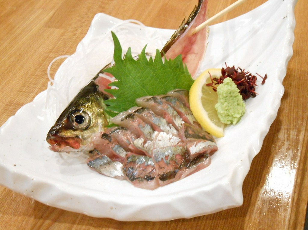 活あじ刺