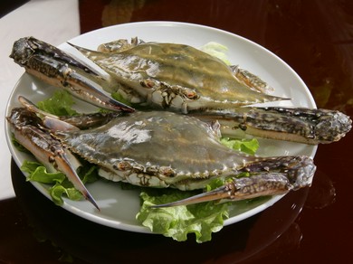 蟹味噌も楽しみ。ホクホクの身を堪能できる「上海蟹」　要予約