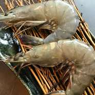 塩こしょう・醤油ダレから選べます！