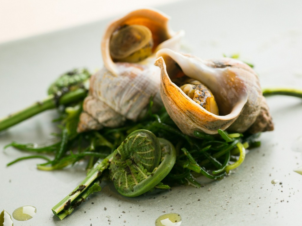 バイ貝とオカヒジキのベノジェーベソース