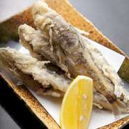 新鮮な魚介をはじめ季節の素材を使った本格和食に舌鼓