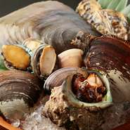 旬の鮮魚をそろえる【昭和食道 上宿一丁目】では、仕入れを長く付き合いのある築地の仲買人が担当しています。その日の最も鮮度のいい魚を仕入れ、おいしい頃合いを見計らって調理します。