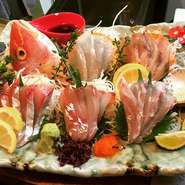 さばくのが難しく、鮮度が良くないと中々お刺身で食べることのできない珍しい魚もお刺身で♪朝獲れ＜オニカサゴ刺、ハタ刺し、ヤガラ刺し、黒ムツ刺し、カマス刺、イシモチ刺、コチ刺など珍しいウマい魚もお刺身で！