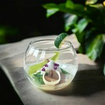 旬の食材をふんだんに使用したスタッフ一押しコース