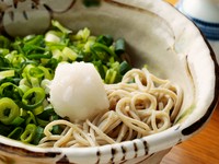 そばの本来の風味を楽しめる『九条ねぎおろしそば（辛味大根）』