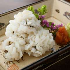おでん屋で楽しむ初夏の味覚