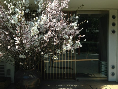 桜の季節には・・・