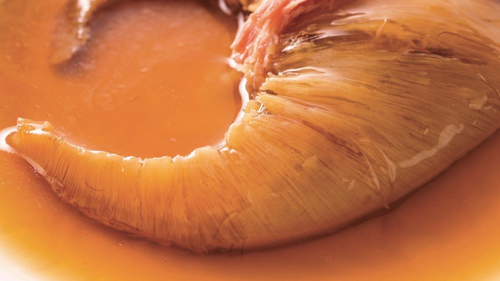 王道の気品漂う一品。やわらかな旨みと上品なソースが魅力『ふかひれ』