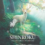 店内に流れる音楽「神鹿」は、シェフ山嵜正樹が提唱する「大和イタリアン」と呼応するかのように生まれた、作曲家コーニッシュ氏によるボルゴ・コニシのための楽曲です。「音×味」が特別な思い出を演出します。
