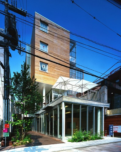 シンボルツリー桂の木と緑に彩られたビルが目印