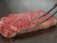 帆立貝の貝柱ｏｒ明石たこが選べ、神戸牛,又は黒毛和牛フィレのボリュームが多いコースとなっております