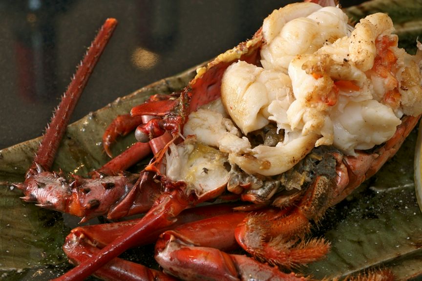 活鮑・活伊勢海老と神戸牛ステーキ,又は黒毛和牛フィレステーキを目の前で焼き上げるコース