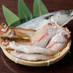 「美味しいお酒が楽しめる」にぴったりの港直送の干物