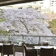 歴史ある日本庭園が眼下が広がるテラス席