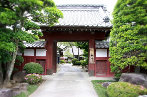 お店入口の長戸門。こちらも国の登録文化財となっている