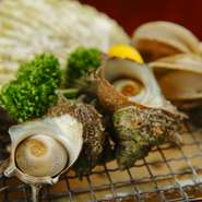 毎日限定10人前の北海道産『ホタテ貝焼き』が330円！サザエやアワビも焼きたてアツアツで食べられます。自分で焼きたい方、焼いてもらいたい方どちらでもお好みで新鮮な海の幸が楽しめます。