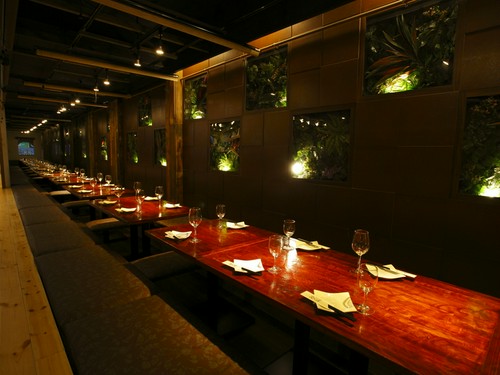 緑のオブジェが落ち着いた空間を演出。居心地の良いおしゃれな店