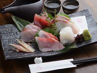 酒肴屋 Sakura