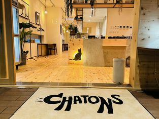 CHATONS