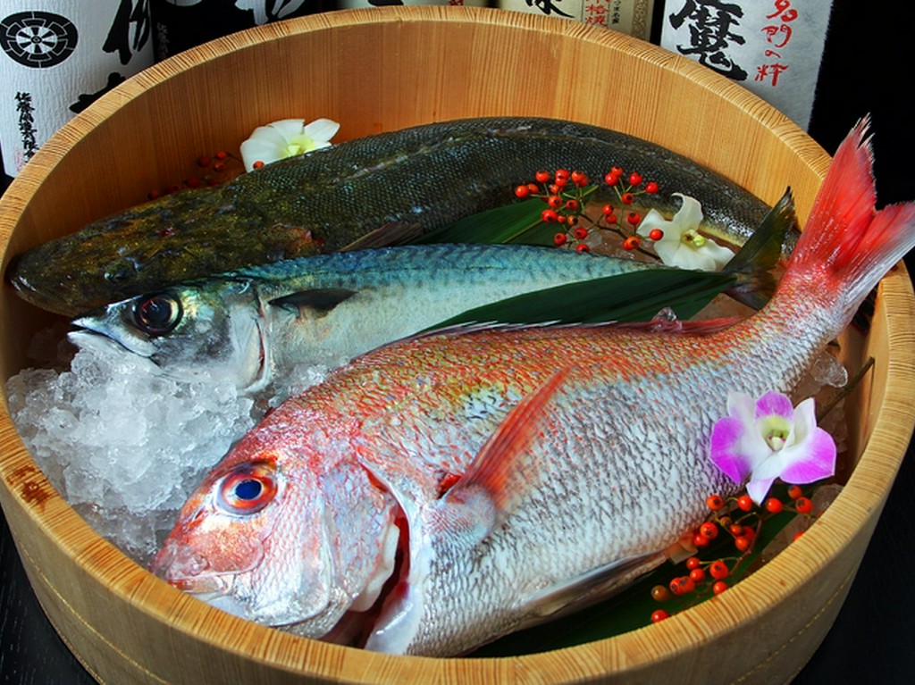 瀬戸内海の海の恵みを含め、新鮮な魚介類を堪能できます
