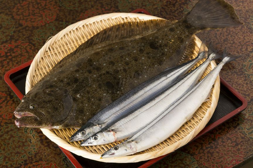 北三陸の食材を満喫! 料理人の確かな目で見極めた旬魚の味わい