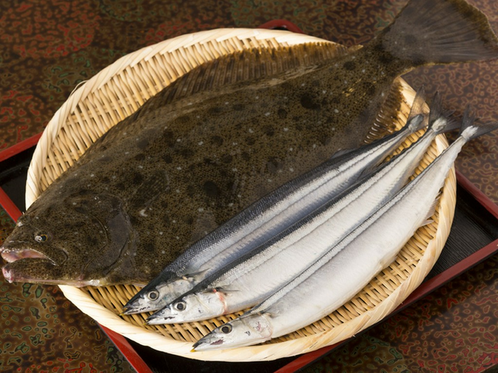 北三陸の食材を満喫！　料理人の確かな目で見極めた旬魚の味わい
