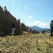 全国米・食味コンクールで金賞を受賞した島根県奥出雲町仁多米。是非当店でお召し上がりください。