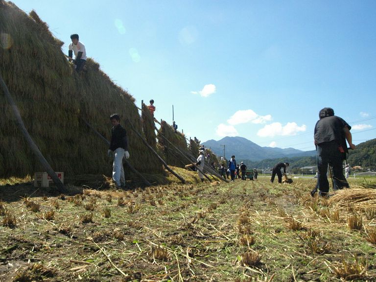 島根県奥出雲町仁多米を使用