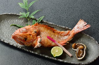 磯魚塩焼1200円～