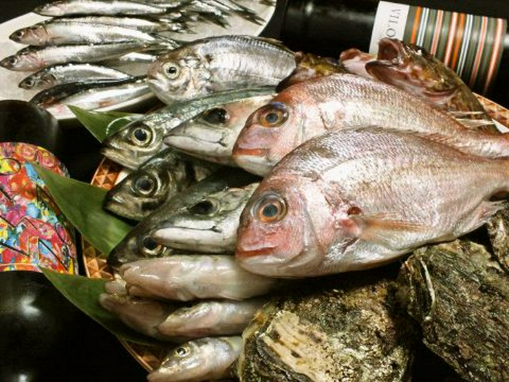 地魚料理 喜助 秋田町 紺屋町 居酒屋 ネット予約可 ヒトサラ