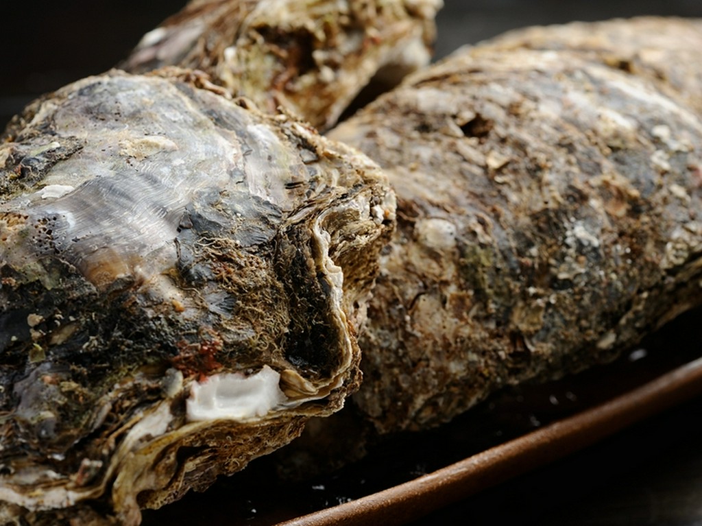 夏が旬の『岩牡蠣』。ボリュームも味も一級品です