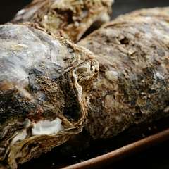 夏が旬の『岩牡蠣』。ボリュームも味も一級品です