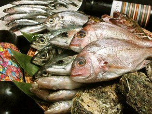 世界屈指の速さの潮流を誇る、鳴門海峡で獲れる海の幸