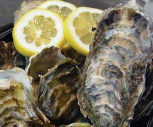 旨みが凝縮した蒸しガキ『カキ、ガンガン焼き（10個）』