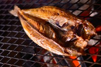 炉端で豪快に焼き上げるホッケは脂がのり、身がしっかりしています。