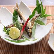 季節の風物詩「鮎」　※料理は一例。季節ごとに変更。要予約。