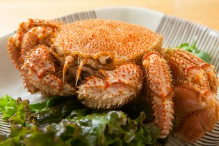 北海道産のおいしさを知ってほしい！北海道から食材を取り寄せ