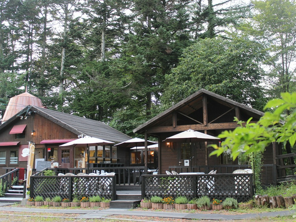 木立に佇む森の中のログハウスカフェ