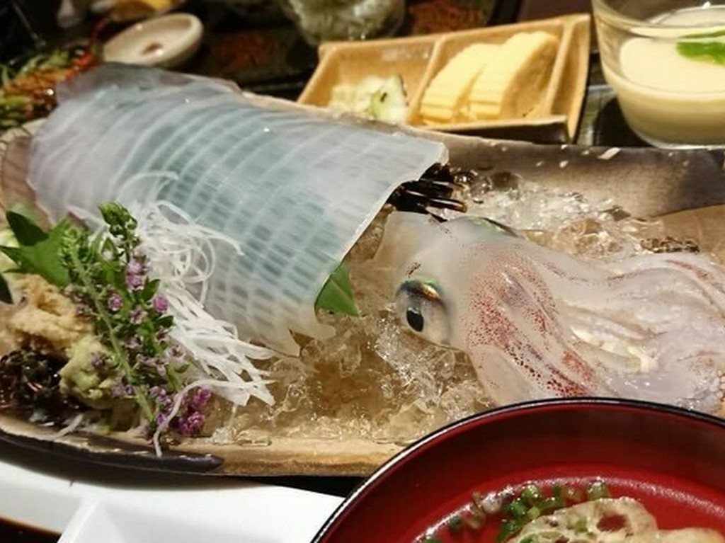 活烏賊定食