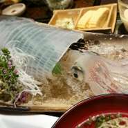 年通しで３種類の活イカが食べれます！活イカ提供は難しく大変貴重。常時お店で食べれるのは珍しいです。