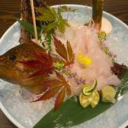 お酒を飲みながら楽しみたい料理が多数用意されています。新鮮な魚だけではなく、肉や野菜など種類が豊富。