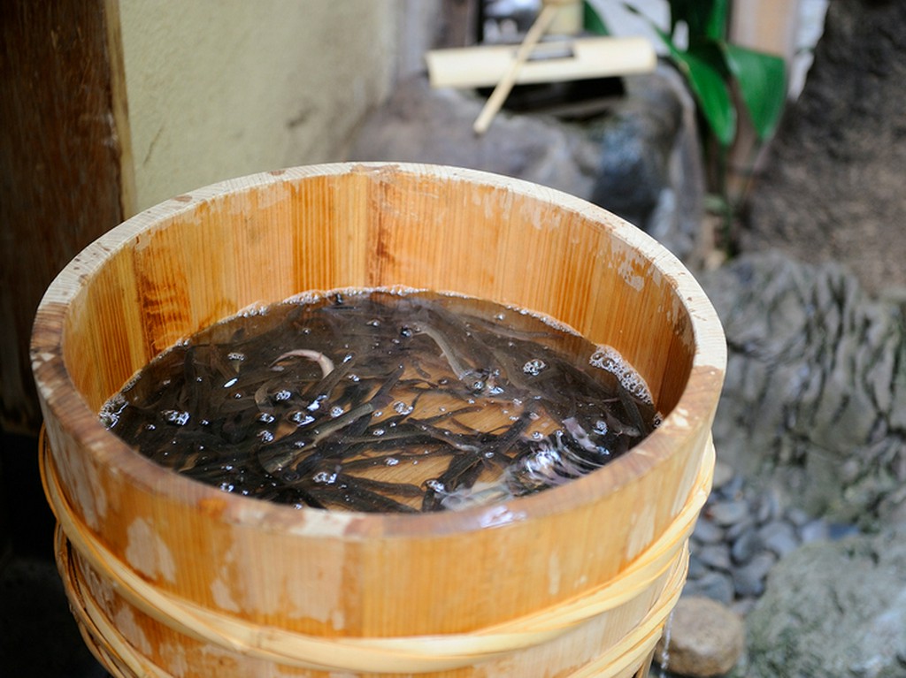 鮮度の良さに自信があるから『ほねぬき鍋』は生のまま鍋に盛る