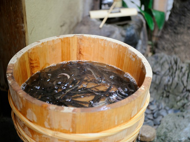 食材にこだわっている