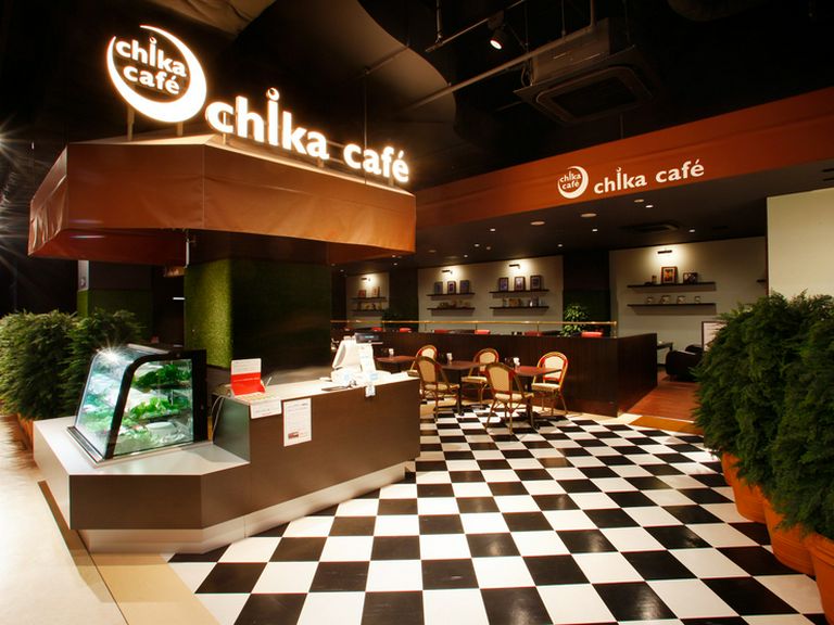 パーティーを開いて賑やかに盛り上がりましょう